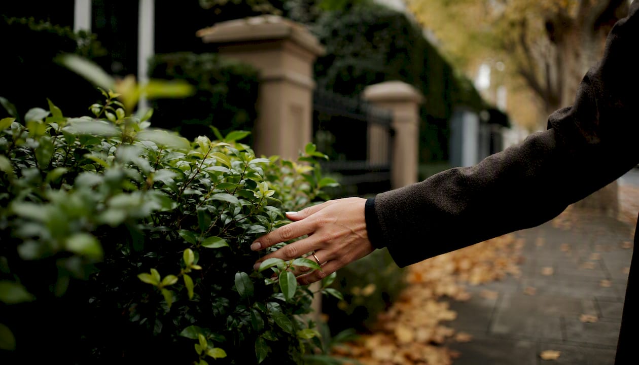 Hands touching greenery near upscale Sydney home