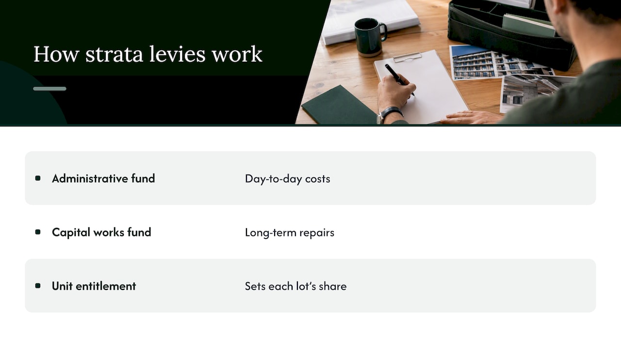 How strata levies fund building costs